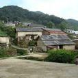 老箐村(雲南紅河州元陽縣大坪鄉下轄村) 老箐村(雲南紅河州元陽縣大坪鄉下轄村)
