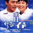 青春歲月(韓劇)