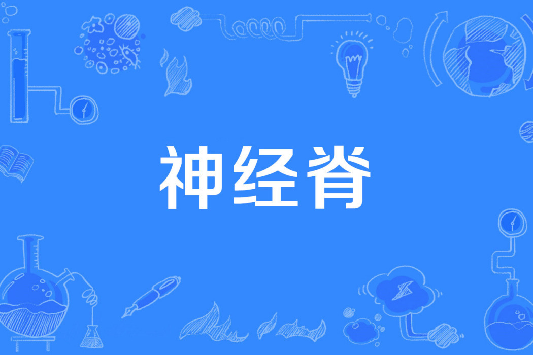 神經脊 神經脊