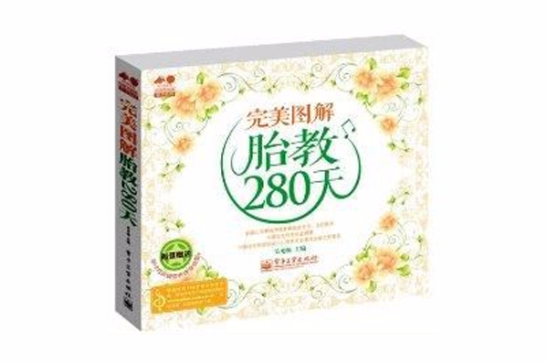 完美圖解胎教280天