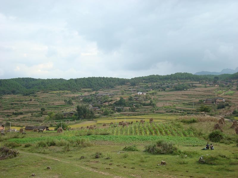 三蒙村 三蒙村