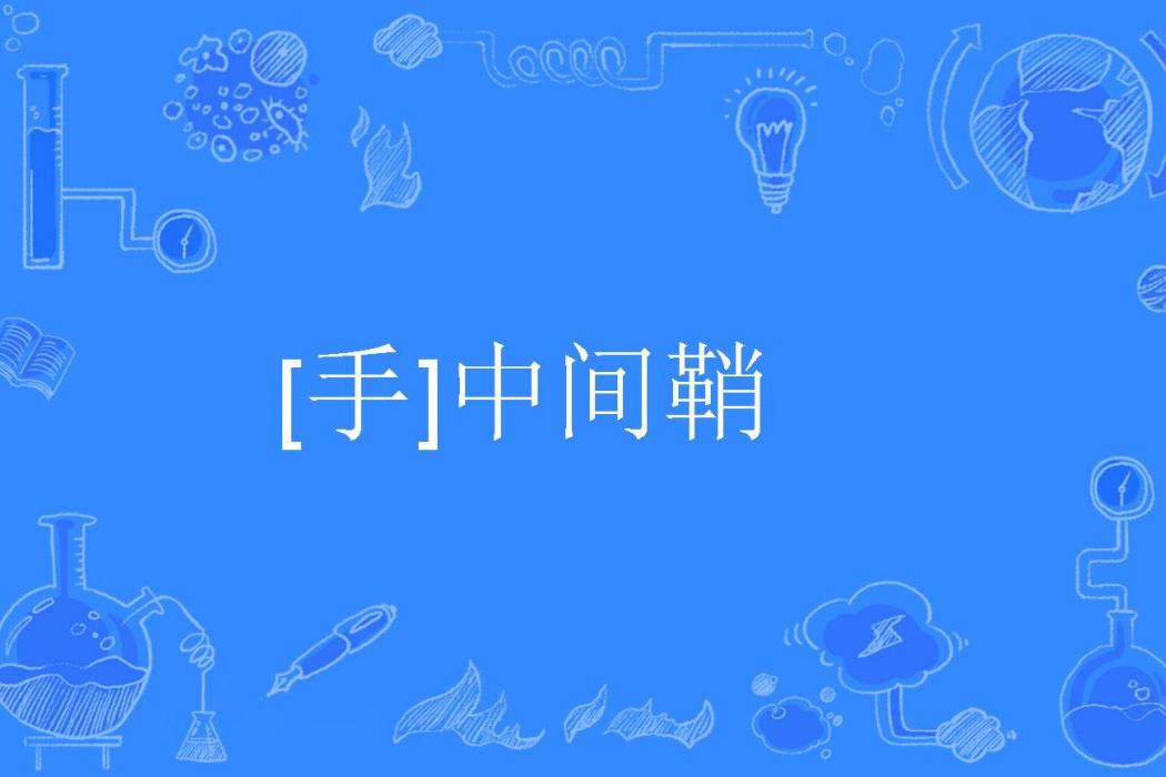 [手]中間鞘