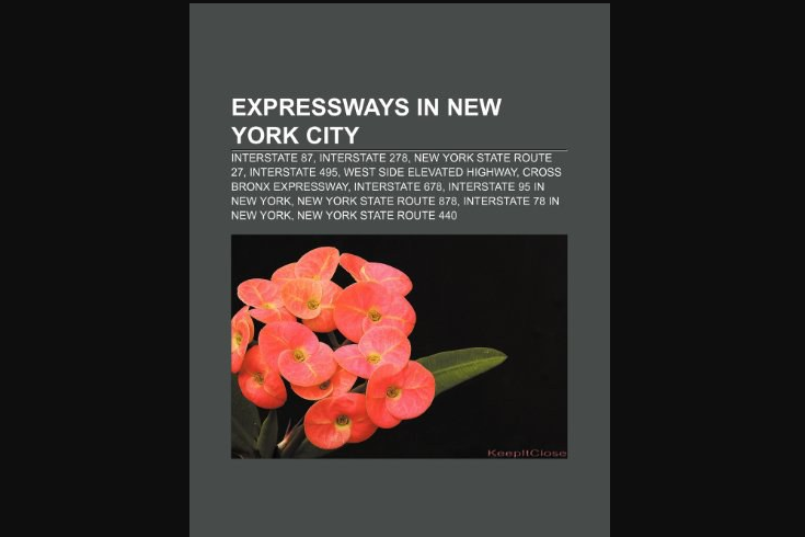 Expressways in New York City Expressways in New York City