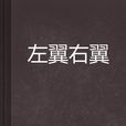 左翼右翼 左翼右翼