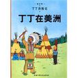 丁丁在美洲