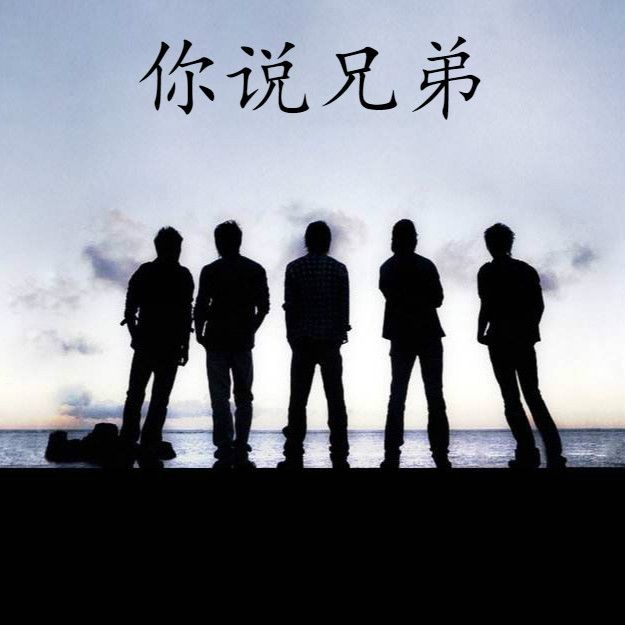 你說兄弟 你說兄弟