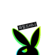 wild bunny wild bunny