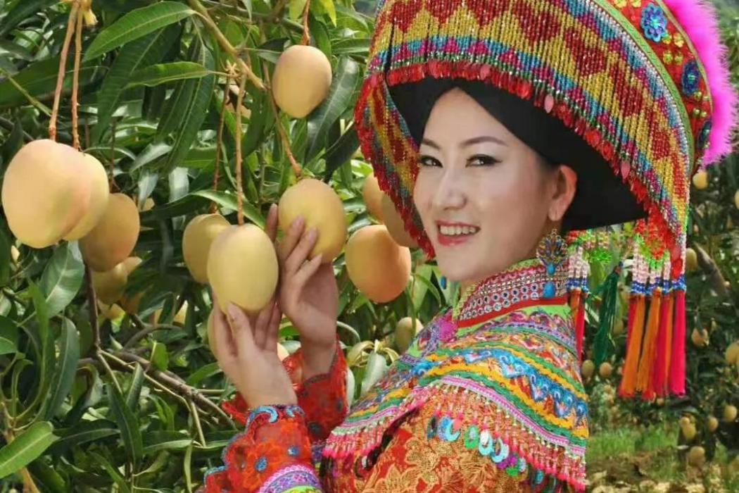 鄒傑(雲南省麗江華坪金芒果生態開發有限公司董事長) 鄒傑(雲南省麗江華坪金芒果生態開發有限公司董事長)