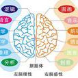 右腦開發音樂 右腦開發音樂