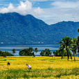 蘇門答臘島(印度尼西亞蘇門答臘島)