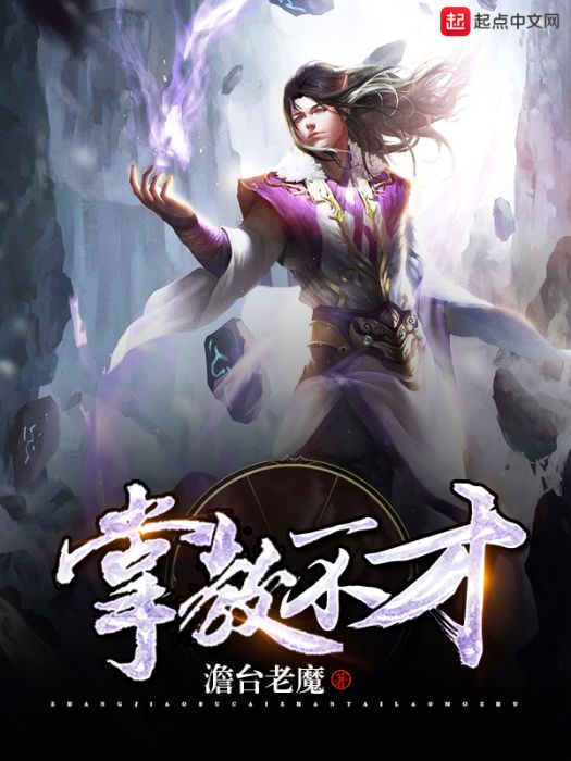 掌教不才 掌教不才