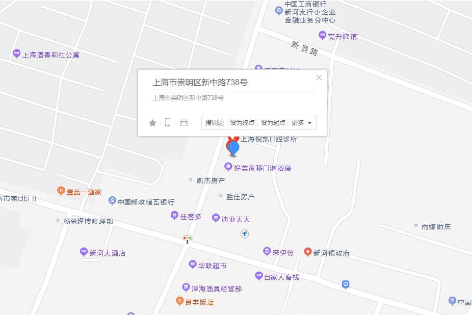 新中路738號 新中路738號