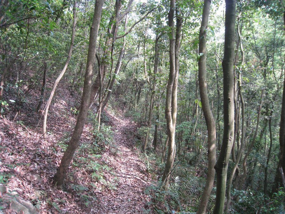田坑溝古道
