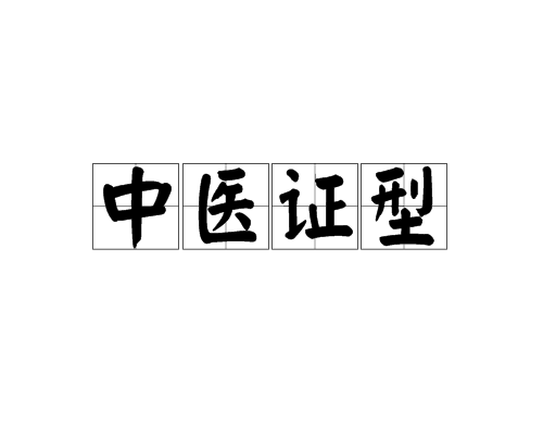 中醫證型 中醫證型