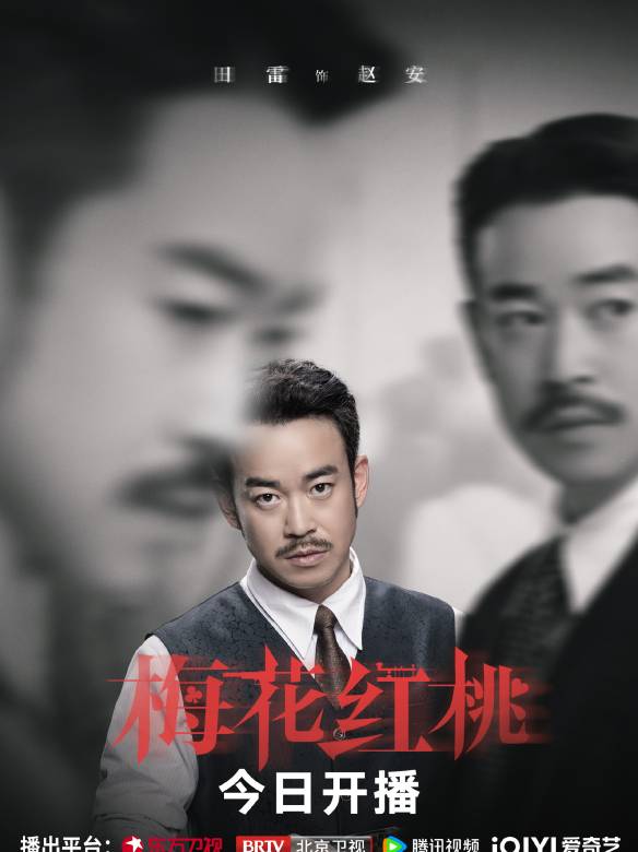 梅花紅桃(2023年焦永亮執導的電視劇)