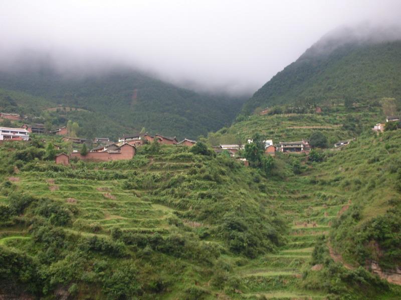 水井二村 水井二村