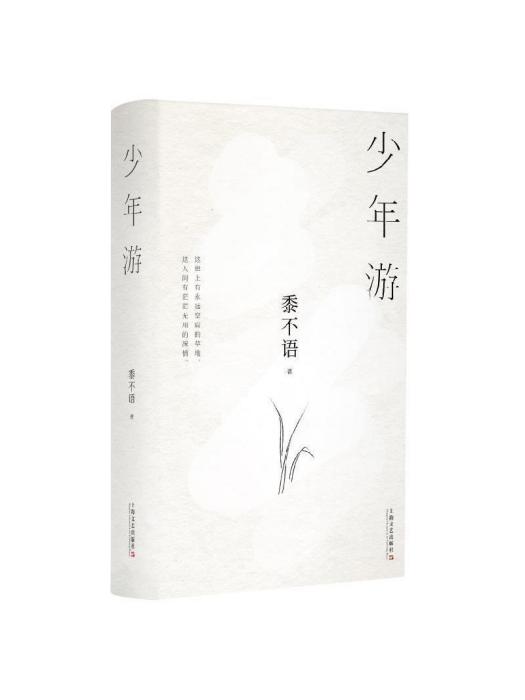 少年游(黍不語創作的詩集)