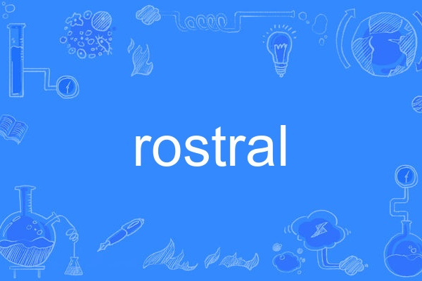 rostral rostral