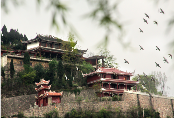 高岩寺 高岩寺