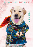 營救汪星人