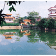 華涌村 華涌村