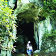 觀音洞遺址(衢江區上方鎮龍祥村) 觀音洞遺址(衢江區上方鎮龍祥村)