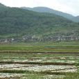 長塘村(廣西南寧市青秀區長塘鎮下轄村) 長塘村(廣西南寧市青秀區長塘鎮下轄村)