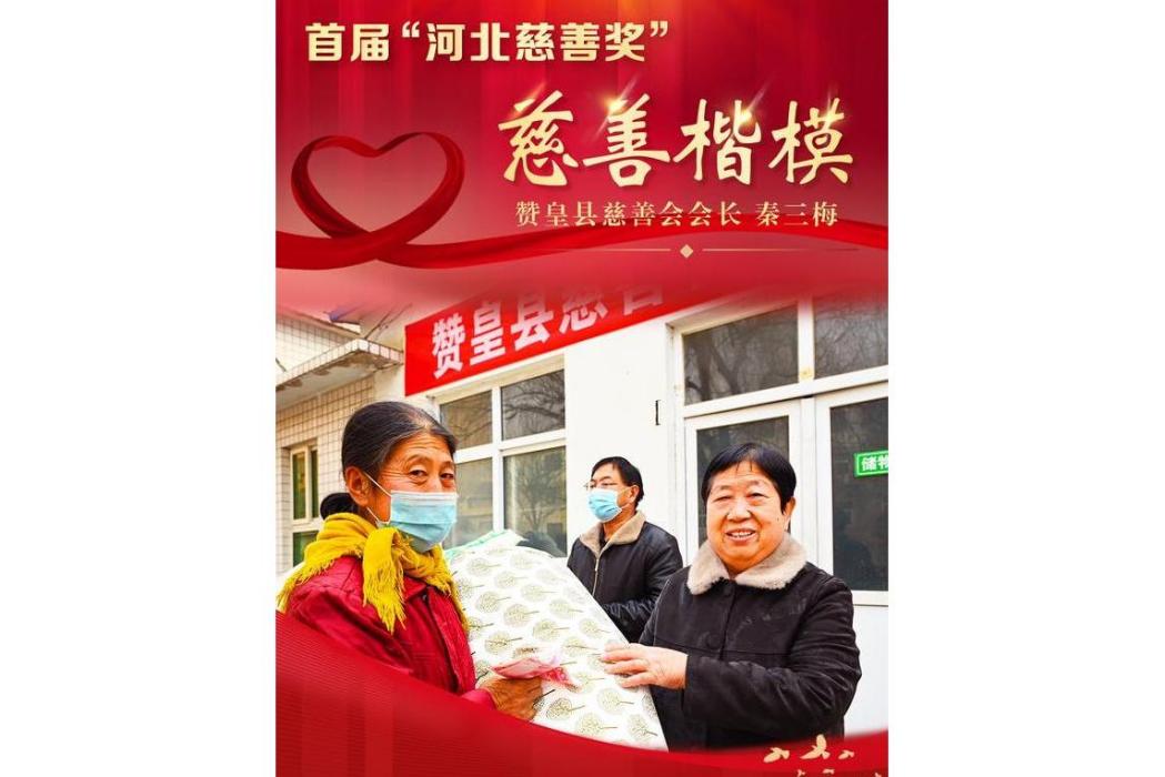 秦三梅 秦三梅