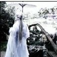 東風破歌 東風破歌