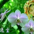 蘭逸塵 蘭逸塵