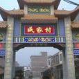成家村(湖南省永州市藍山縣下轄村)