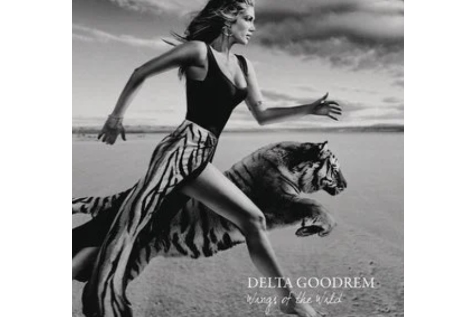 Only Human(Delta Goodrem演唱的歌曲) Only Human(Delta Goodrem演唱的歌曲)