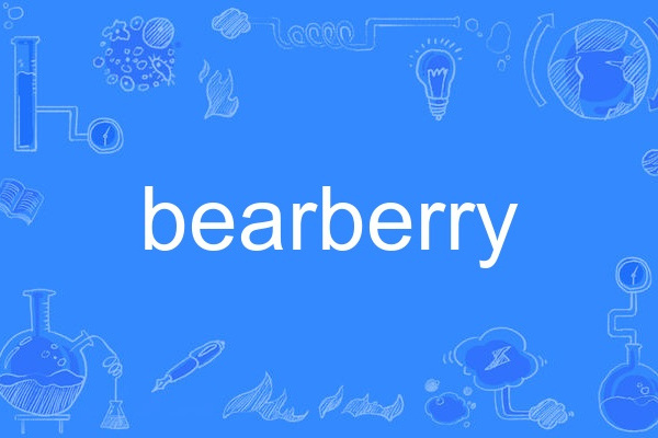 bearberry