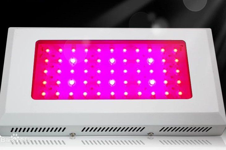 LED植物生長燈管 LED植物生長燈管