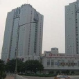 皇城國際 皇城國際