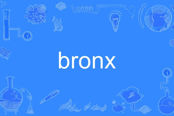 bronx bronx