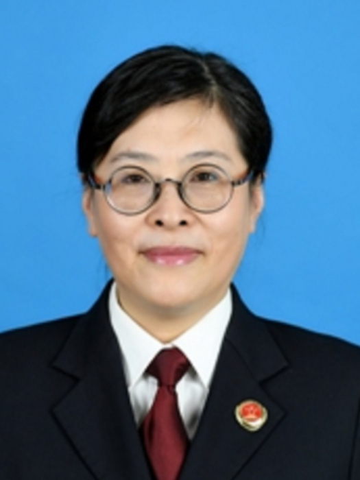 何青雲(上海市徐匯區人民檢察院檢察委員會專職委員) 何青雲(上海市徐匯區人民檢察院檢察委員會專職委員)