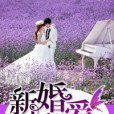 新婚秘愛 新婚秘愛