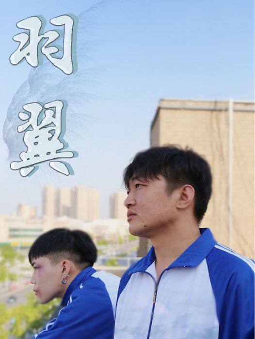 羽翼(2022年孟宇航、韓峰廷主演的電視劇) 羽翼(2022年孟宇航、韓峰廷主演的電視劇)