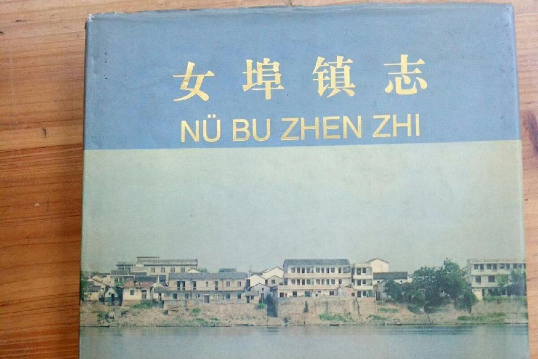 女埠鎮志 女埠鎮志