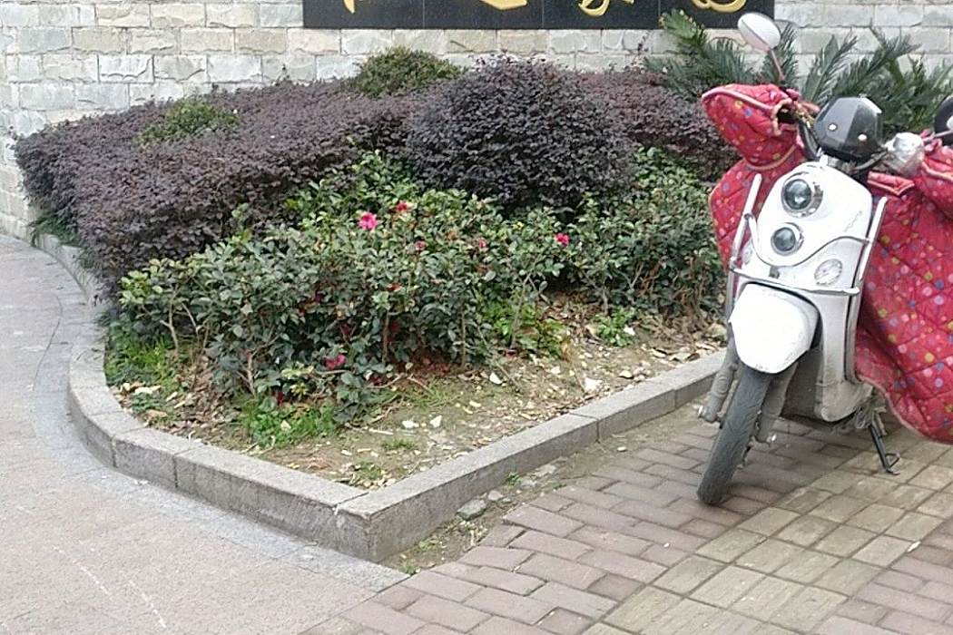 恆達家園 恆達家園