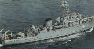 俄羅斯娜佳級掃布雷艦