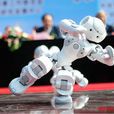 2014中國機器人大賽