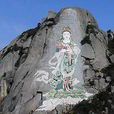 化佛山 化佛山
