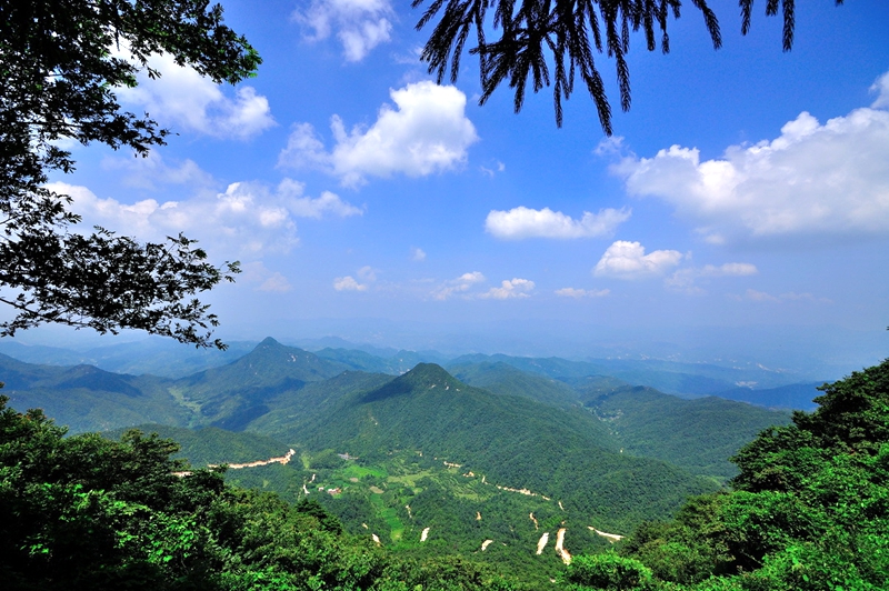 江西峰山國家森林公園(峰山國家級森林公園)