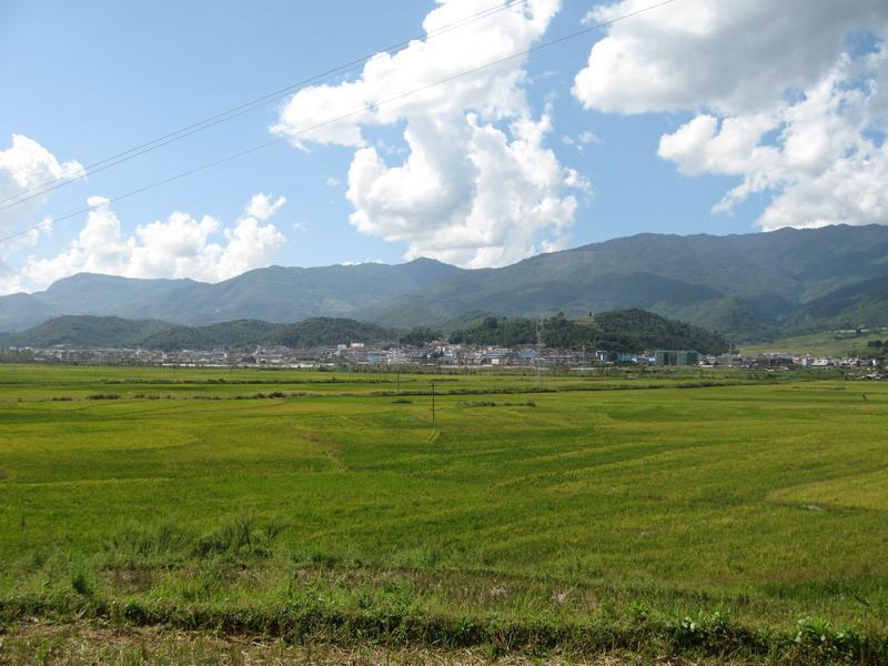 井肥自然村 井肥自然村