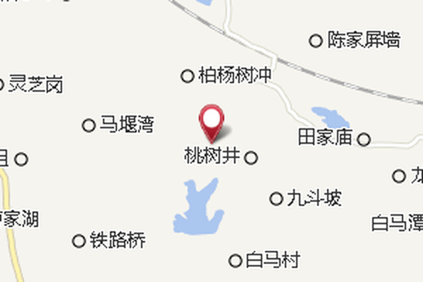 新生二隊