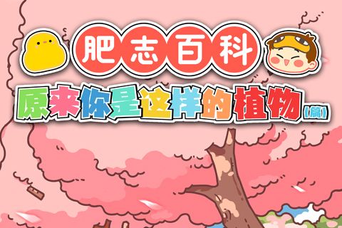 肥志百科(肥志著作的科普漫畫系列)