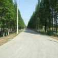 圩西村 圩西村