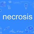 necrosis